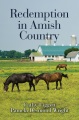Redemption in Amish Country : 2 uplifting stories