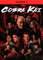 Cobra Kai. Season 5