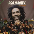 Bob Marley with the Chinekel Orchestra.