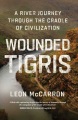 Wounded Tigris : a river journey through the cradle of civilization
