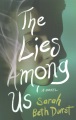 The lies among us : a novel