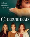 Cherubhead