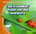 I see a ladybug = Puedo ver una mariquita