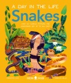 Snakes : what do cobras, pythons, and anacondas get up to all day? / [Author: Christian Cave ; illustrator: Rebecca Mills].