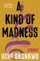 A kind of madness : stories