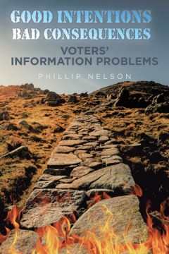 Good Intentions—Bad Consequences: Voters’ Information Problems