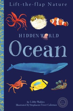 Hidden World Ocean