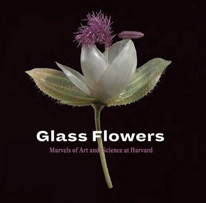 Glass Flowers: Marvels of Art and Science at Harvard - Harvard Book Store